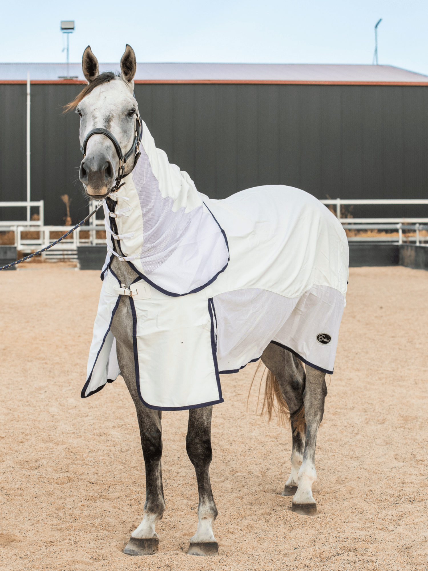 Earlwood WHITE Mesh Ripstop Combo – Earlwood Equine
