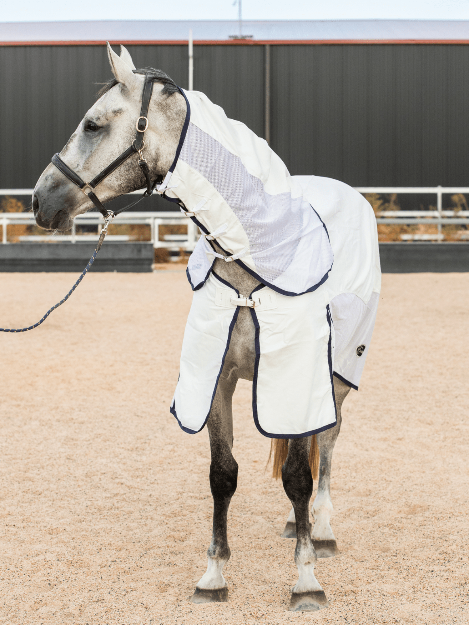 Earlwood WHITE Mesh Ripstop Combo – Earlwood Equine