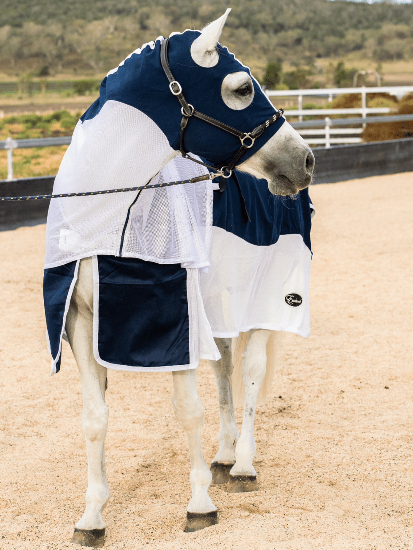 Earlwood Navy/White MESH Hood