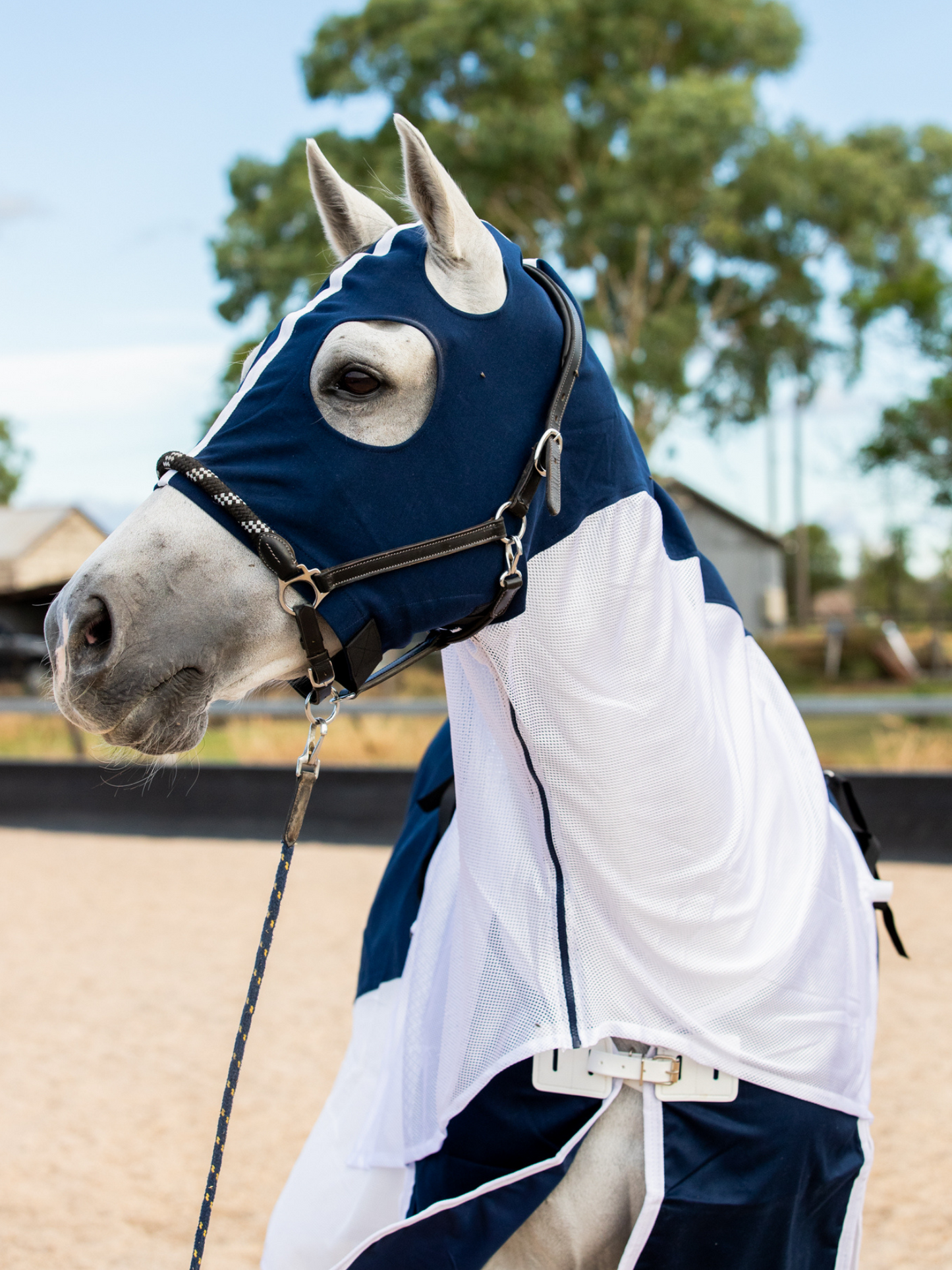 Earlwood Navy/White MESH Hood