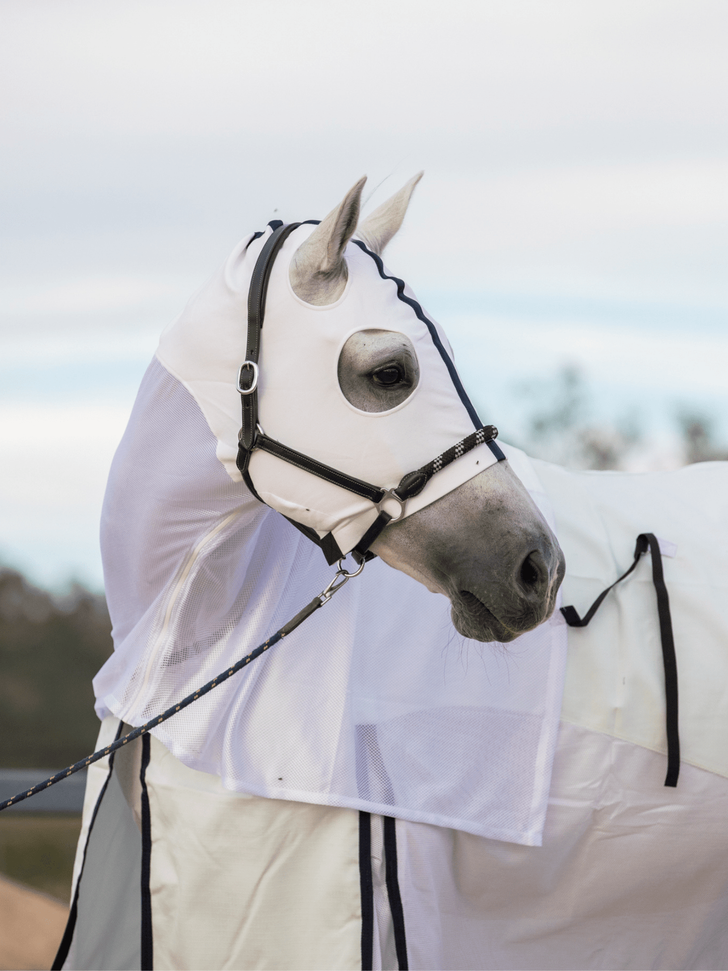 Earlwood White & Black MESH Hoods