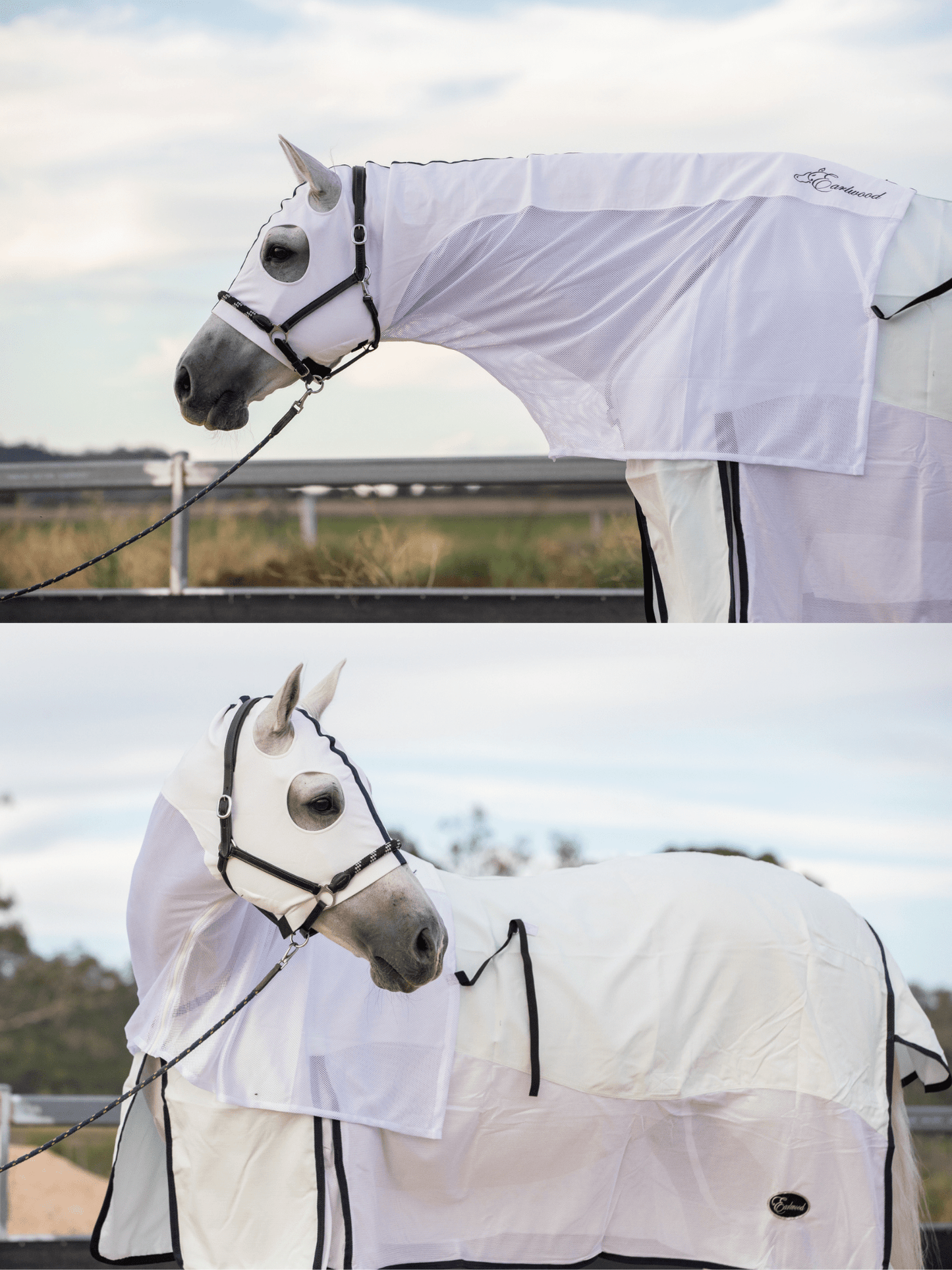 Earlwood White & Black MESH Hoods