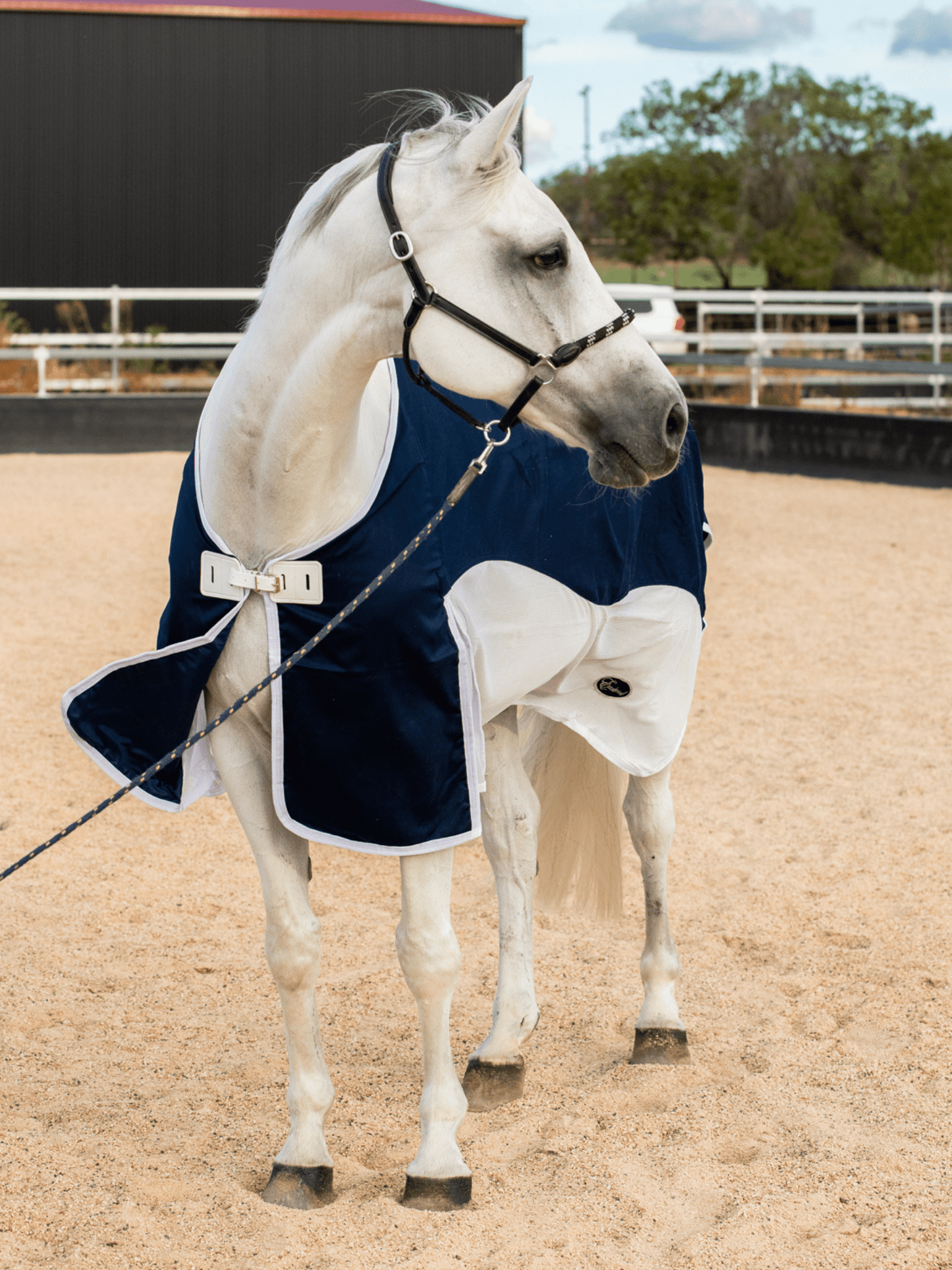Earlwood Navy/White Mesh Show Rug – Earlwood Equine