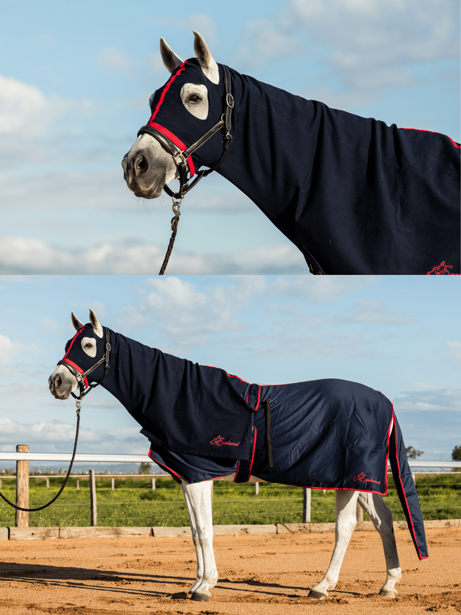 Earlwood Navy-Red Cotton Show Rug (Rug & Tail Bag only) – Earlwood Equine