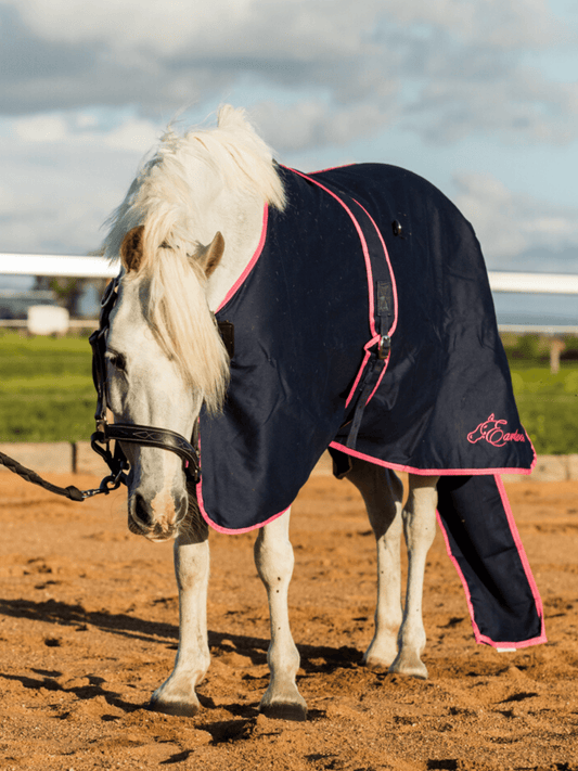 Earlwood Navy-Pink Cotton Show Rug (Rug & Tail Bag only)