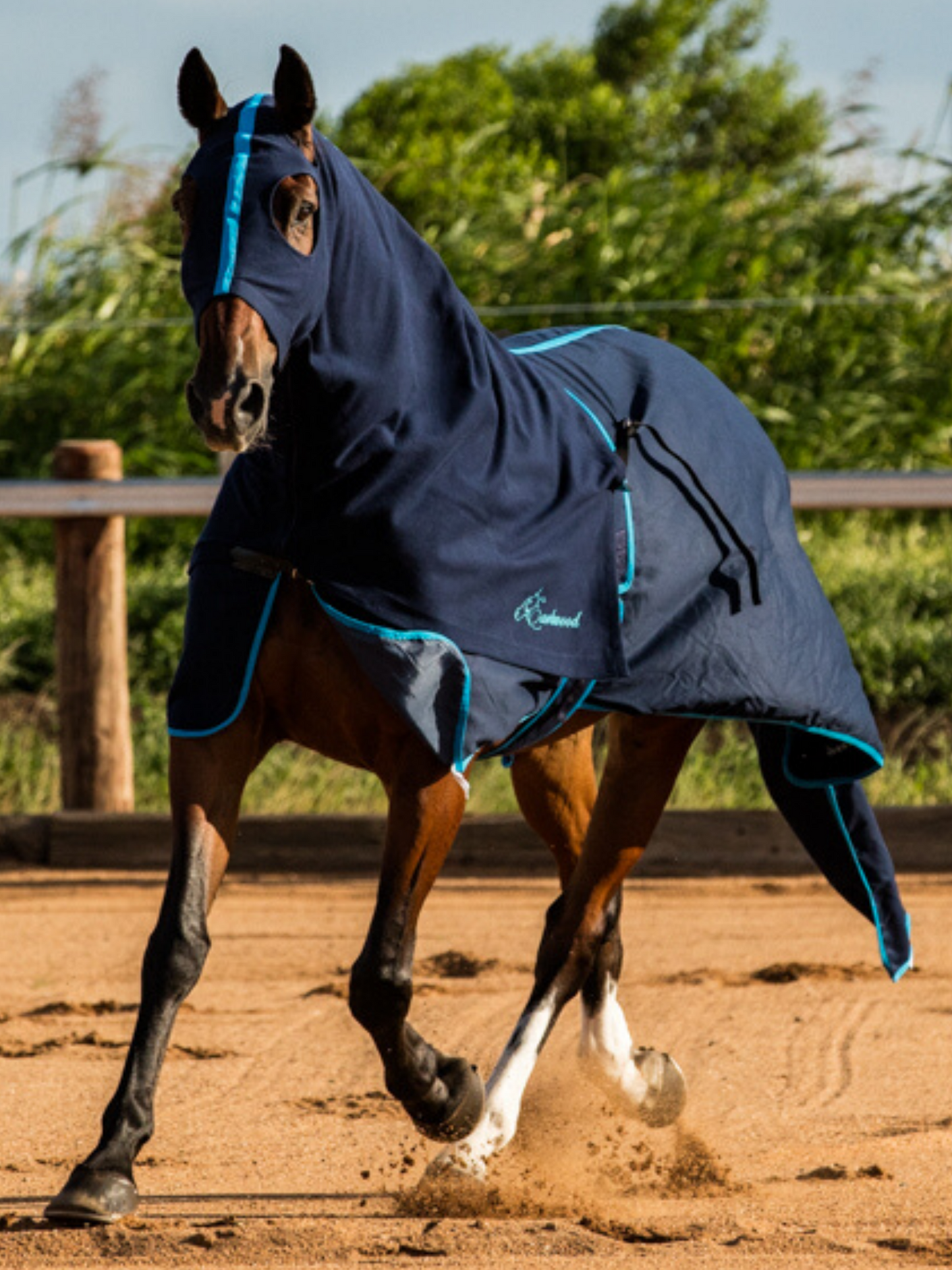 Earlwood Navy Cotton Show Rug (Rug & Tail Bag only)