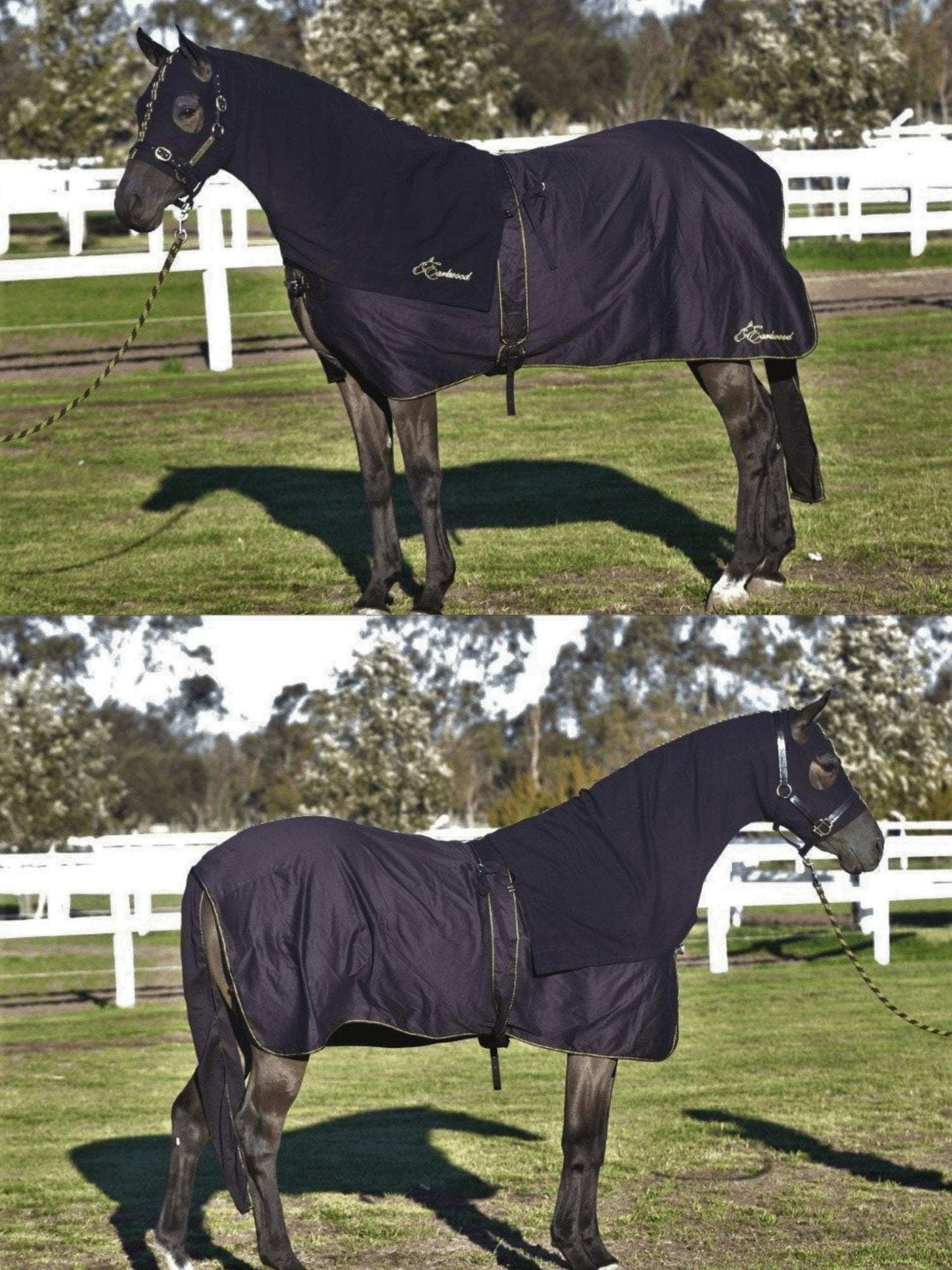 Horses in Earlwood Black Label Hood - ZIPPED UP