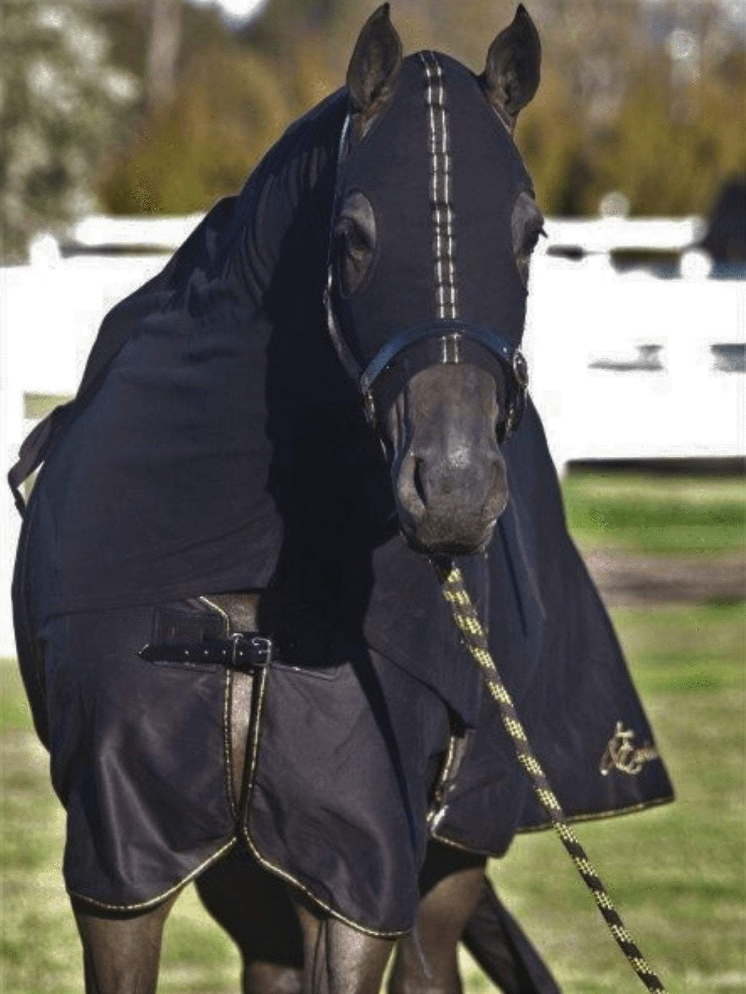 Horses in Earlwood Black Label Hood - ZIPPED UP