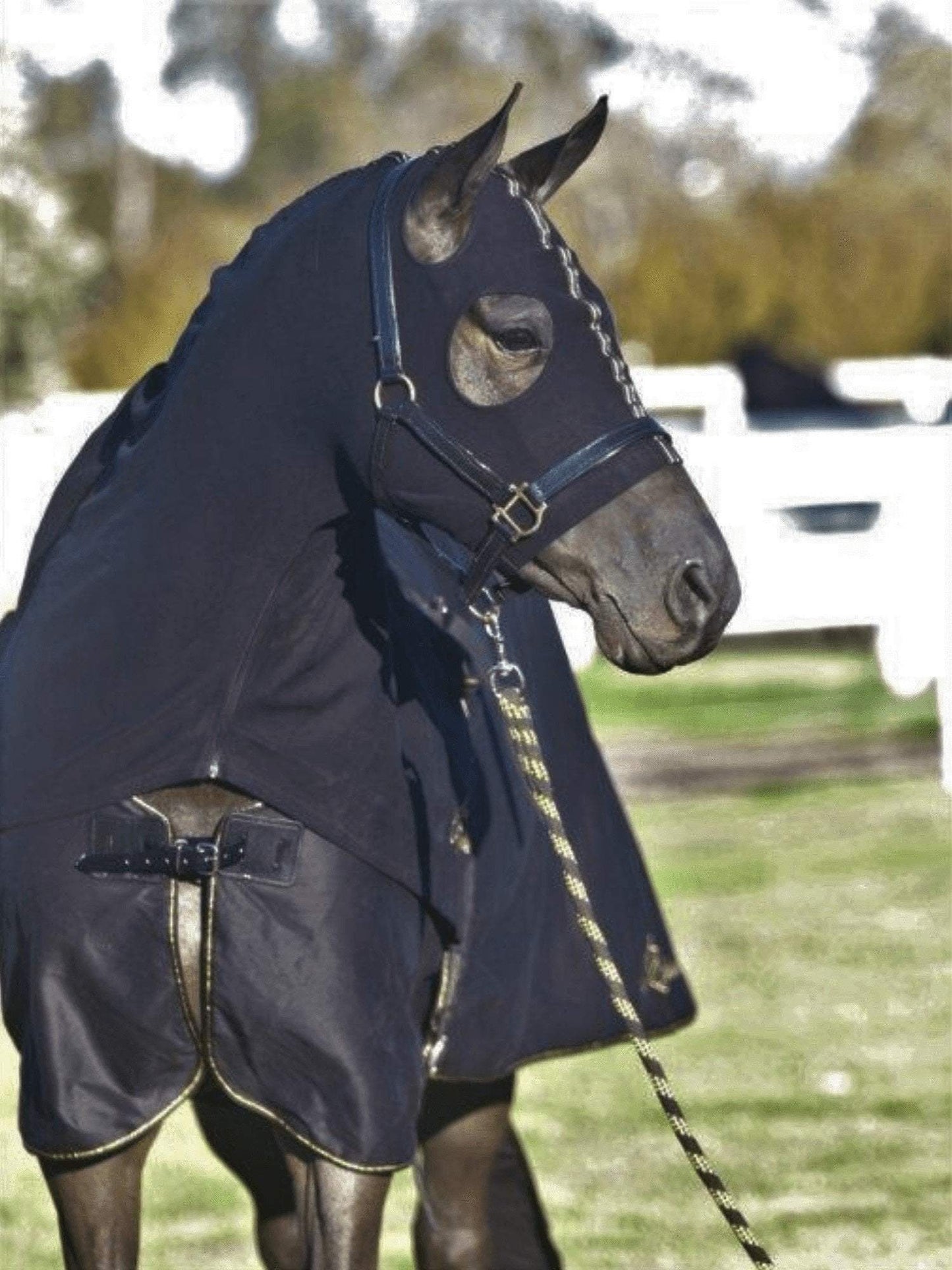 Horses in Earlwood Black Label Hood - ZIPPED UP