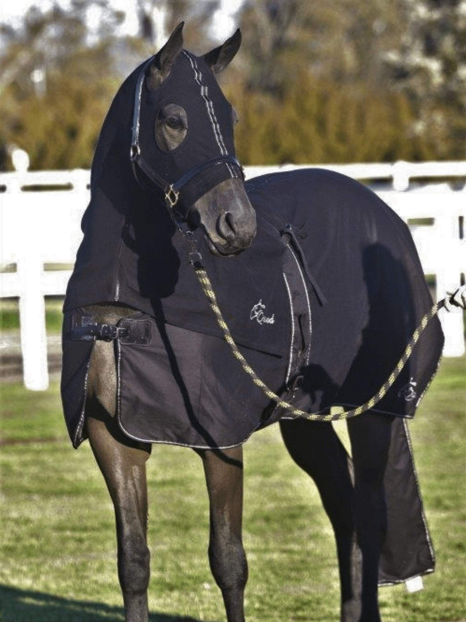 Horses in Earlwood Black Label Cotton Show Rug