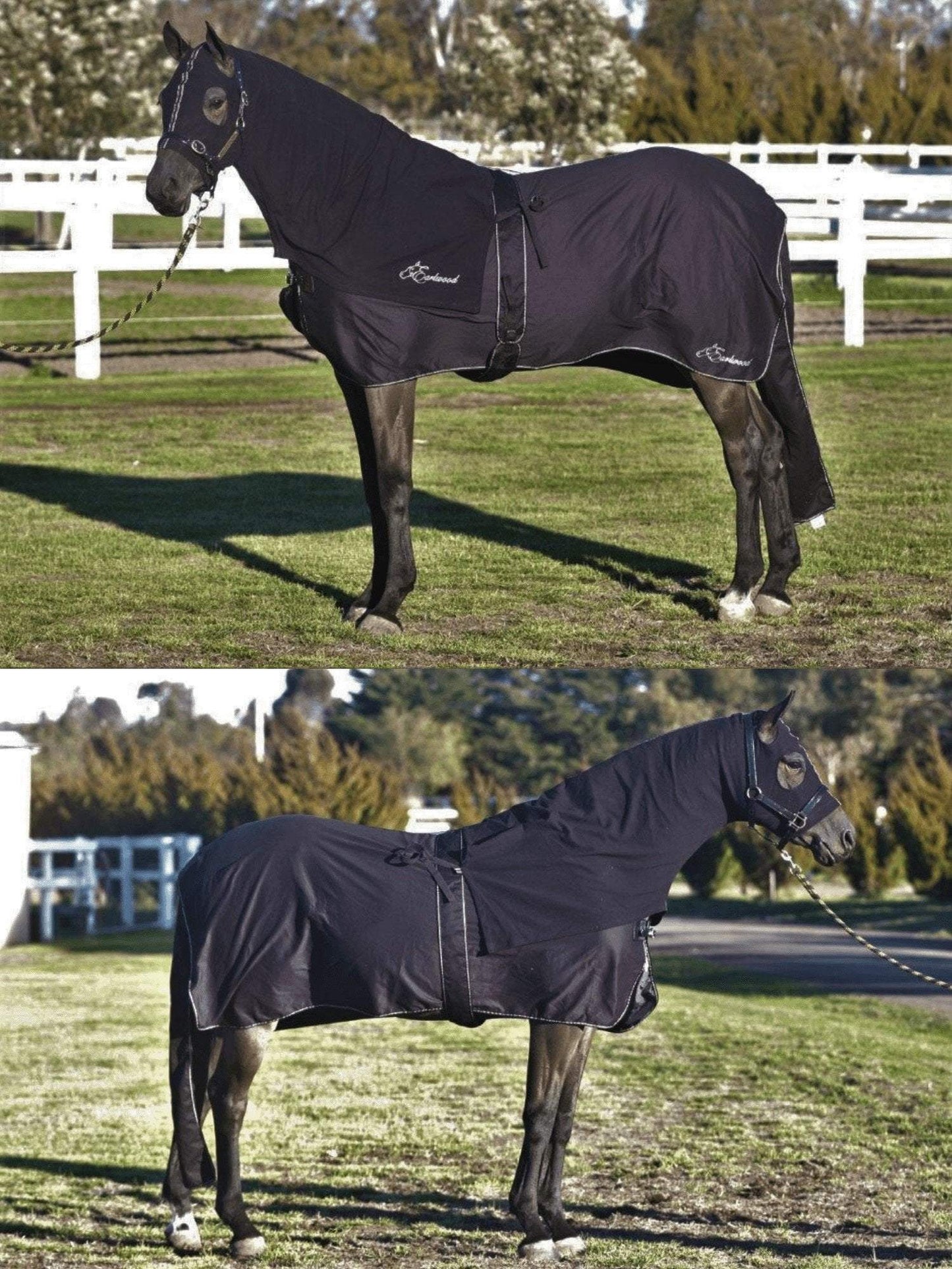 Horses in Earlwood Black Label Hood - ZIPPED UP