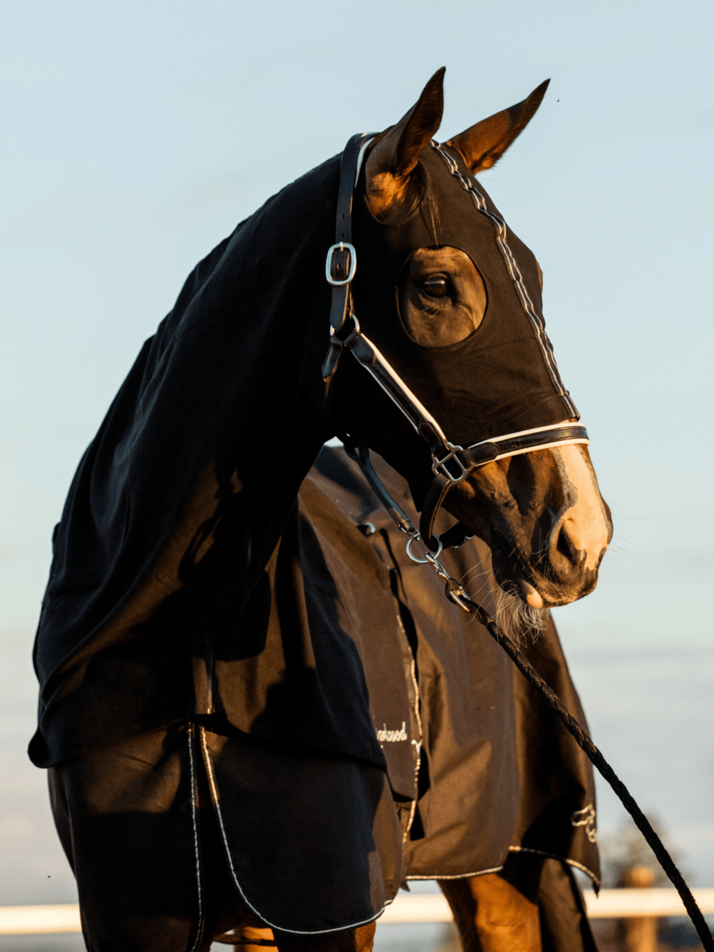 Earlwood Black Label Hood - ZIPPED UP!