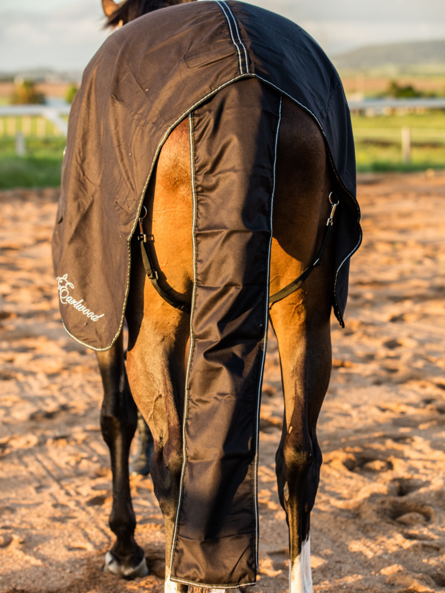 Equine tail online bags