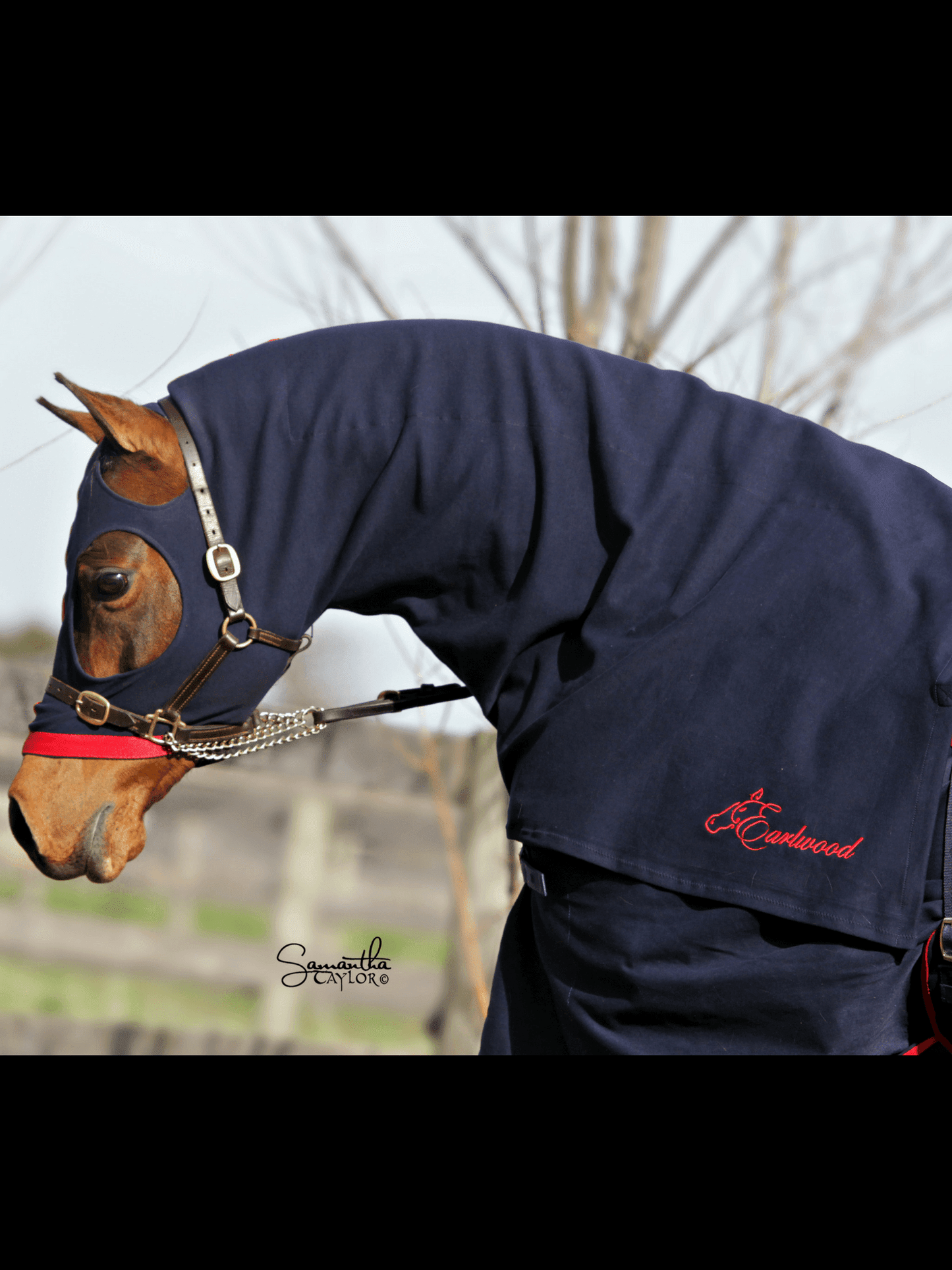 Horses in Earlwood Hood - ZIPPED UP!