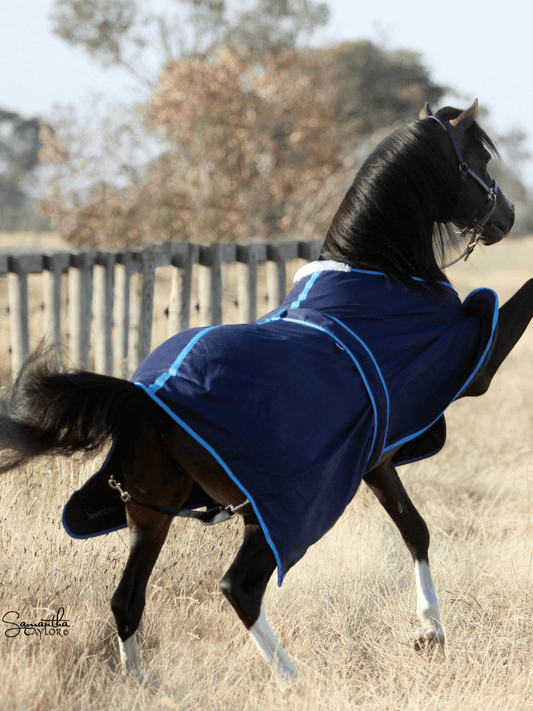 Horses in Earlwood Cotton Show Rug (Head and tail only)