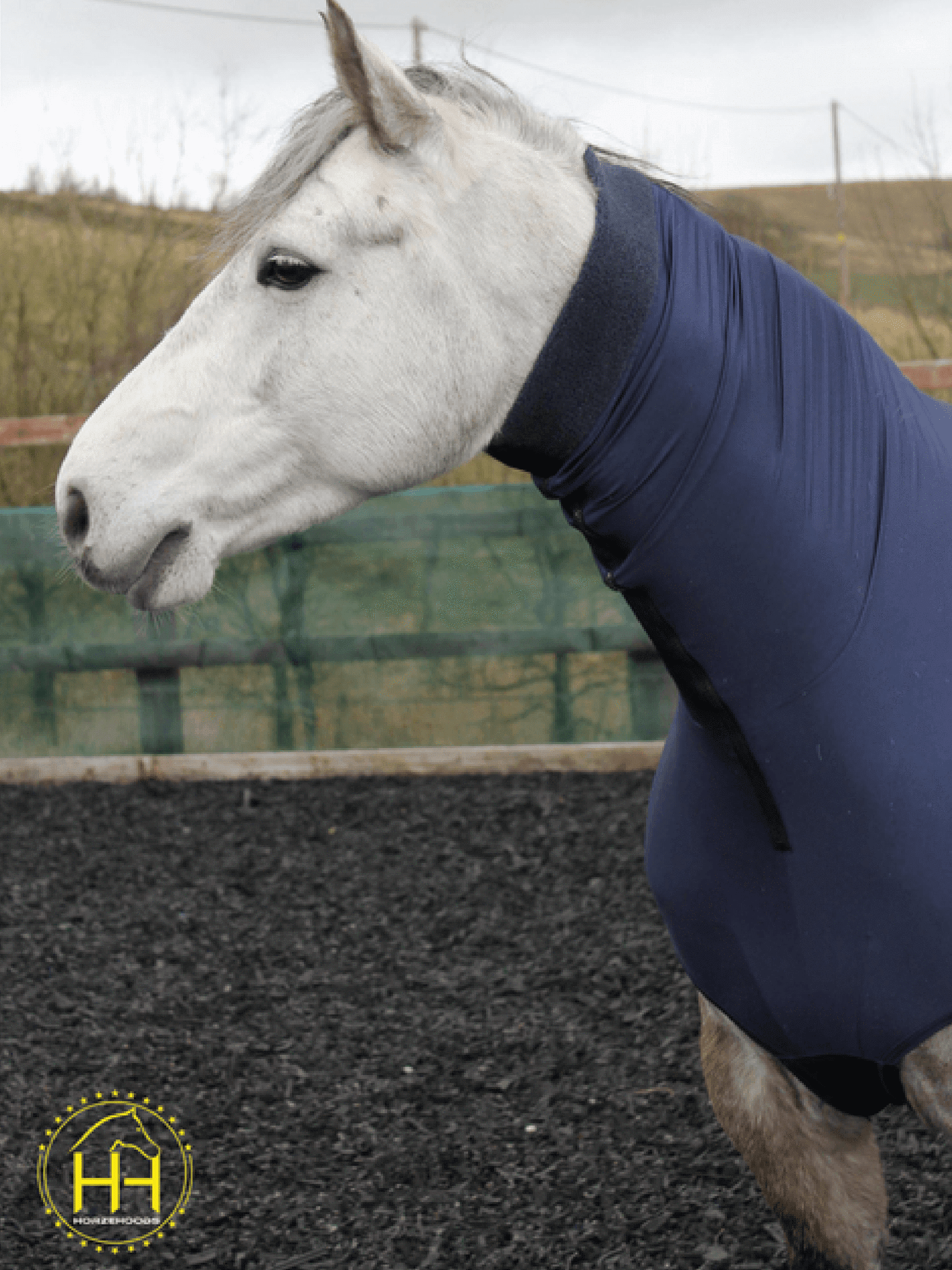 Horse wearing Headless HorzeHood in Navy