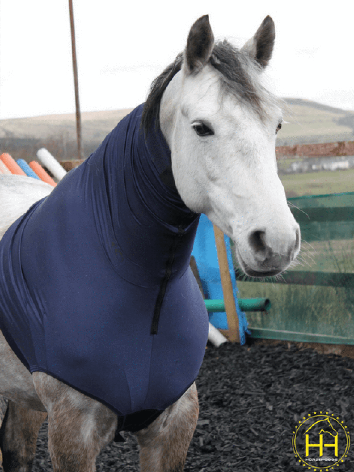 Horse wearing Headless HorzeHood in Navy