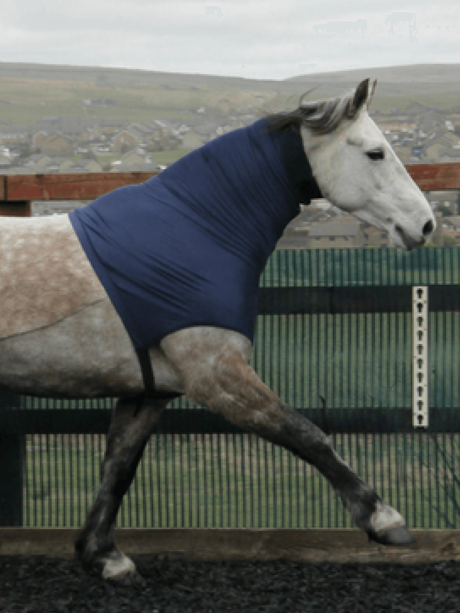 Horse in Headless HorzeHood in Navy