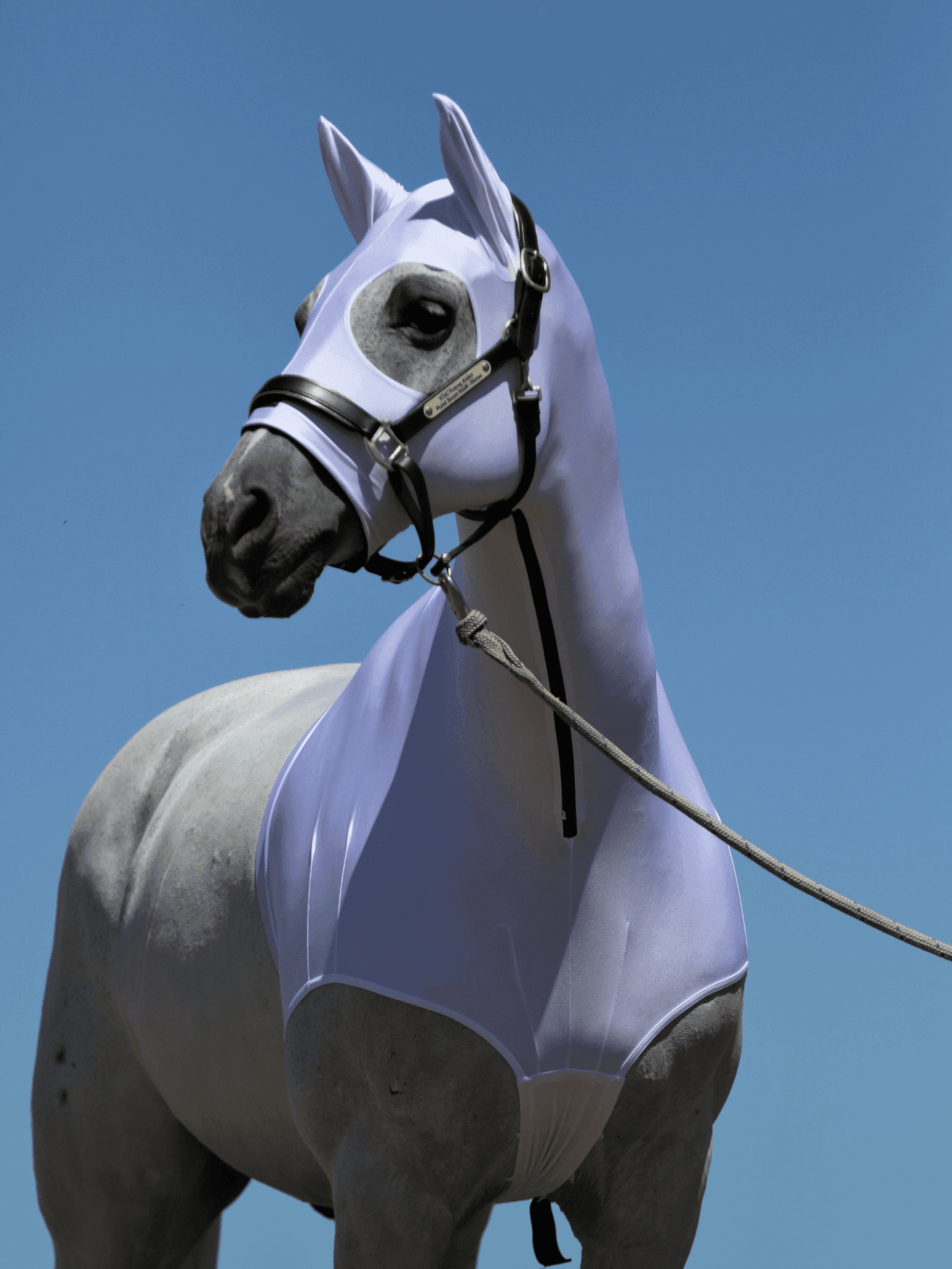 Horse wearing Light Blue HorzeHood with NO EARS for BIG Horses