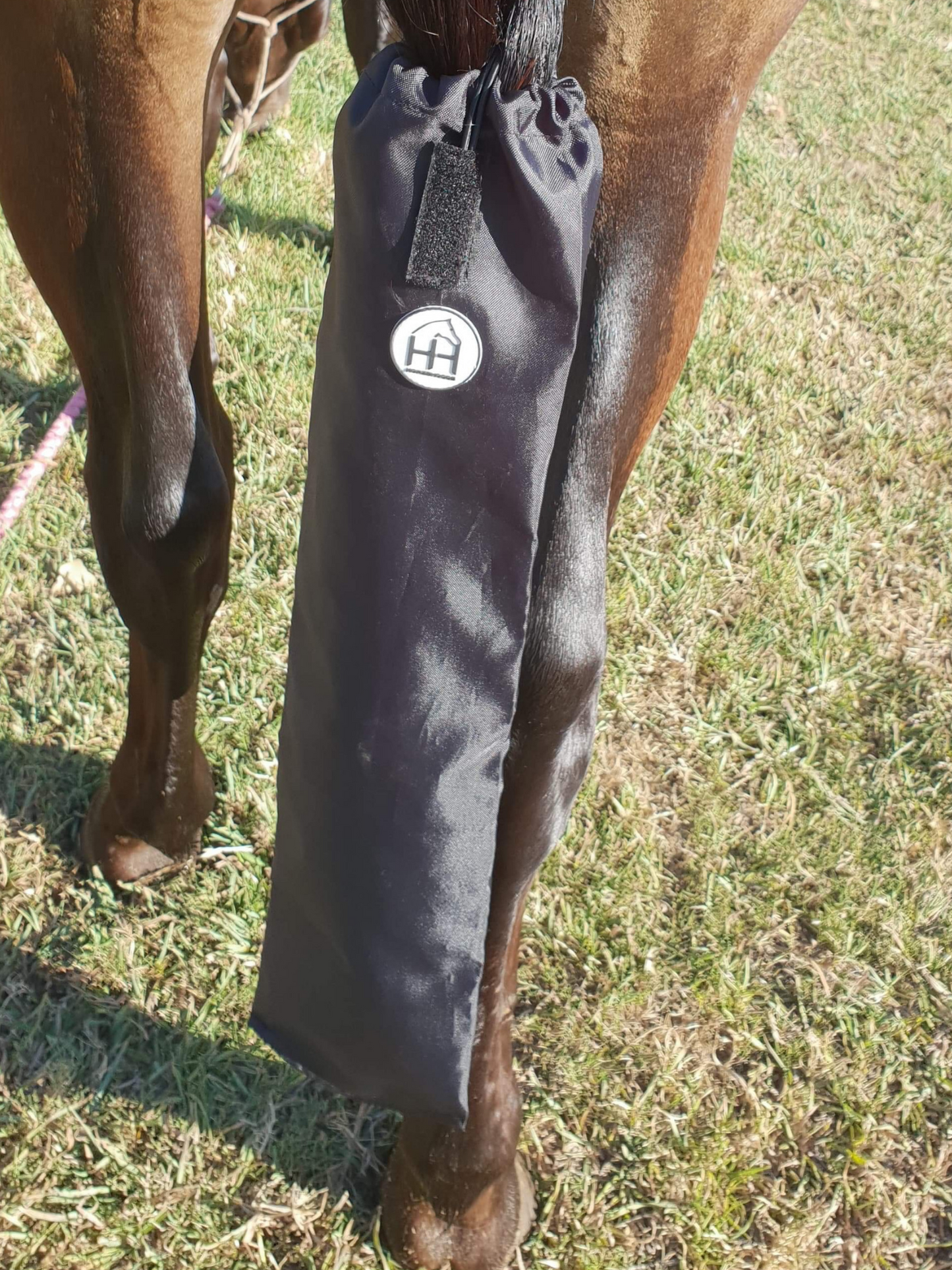 Horse wearing Horzehood Showerproof Tailbag