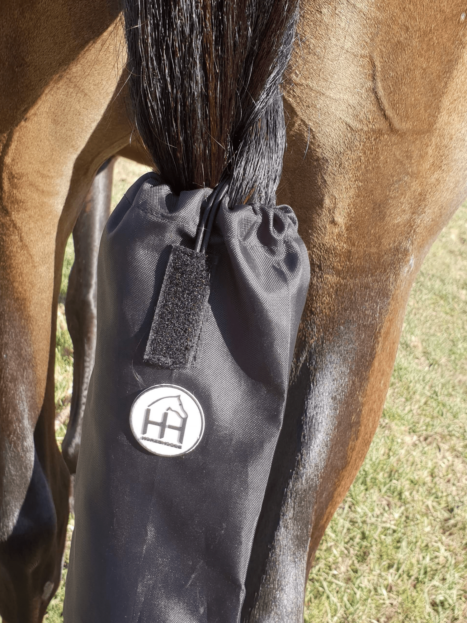 Horse wearing Horzehood Showerproof Tailbag