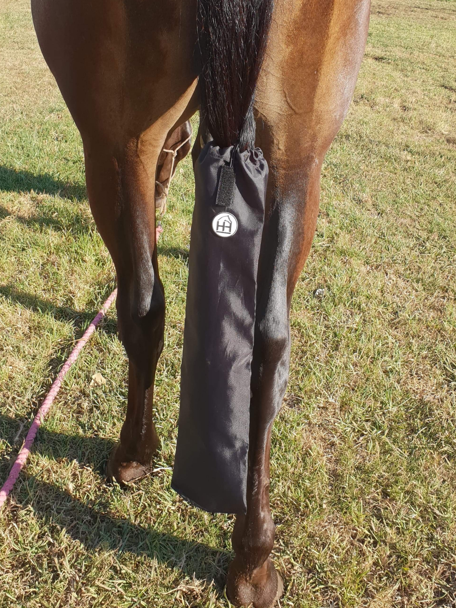 Horse wearing Horzehood Showerproof Tailbag