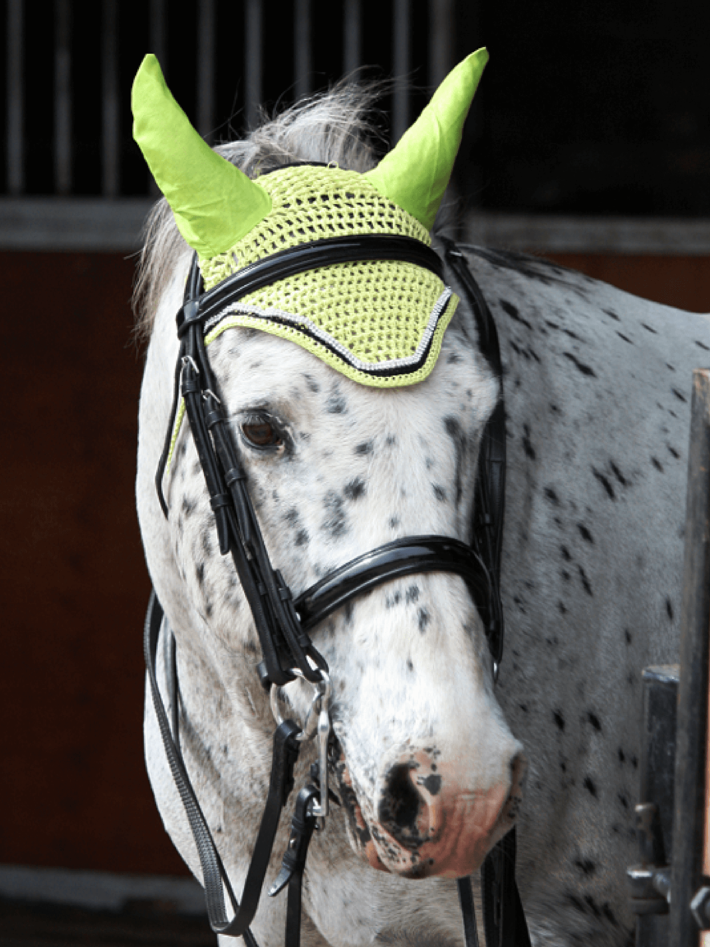 Horse wearing Lime HorzeHood Bonnets/Fly Veils