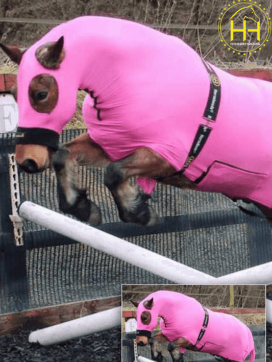 Horse wearing Hot Pink HorzeBodz.