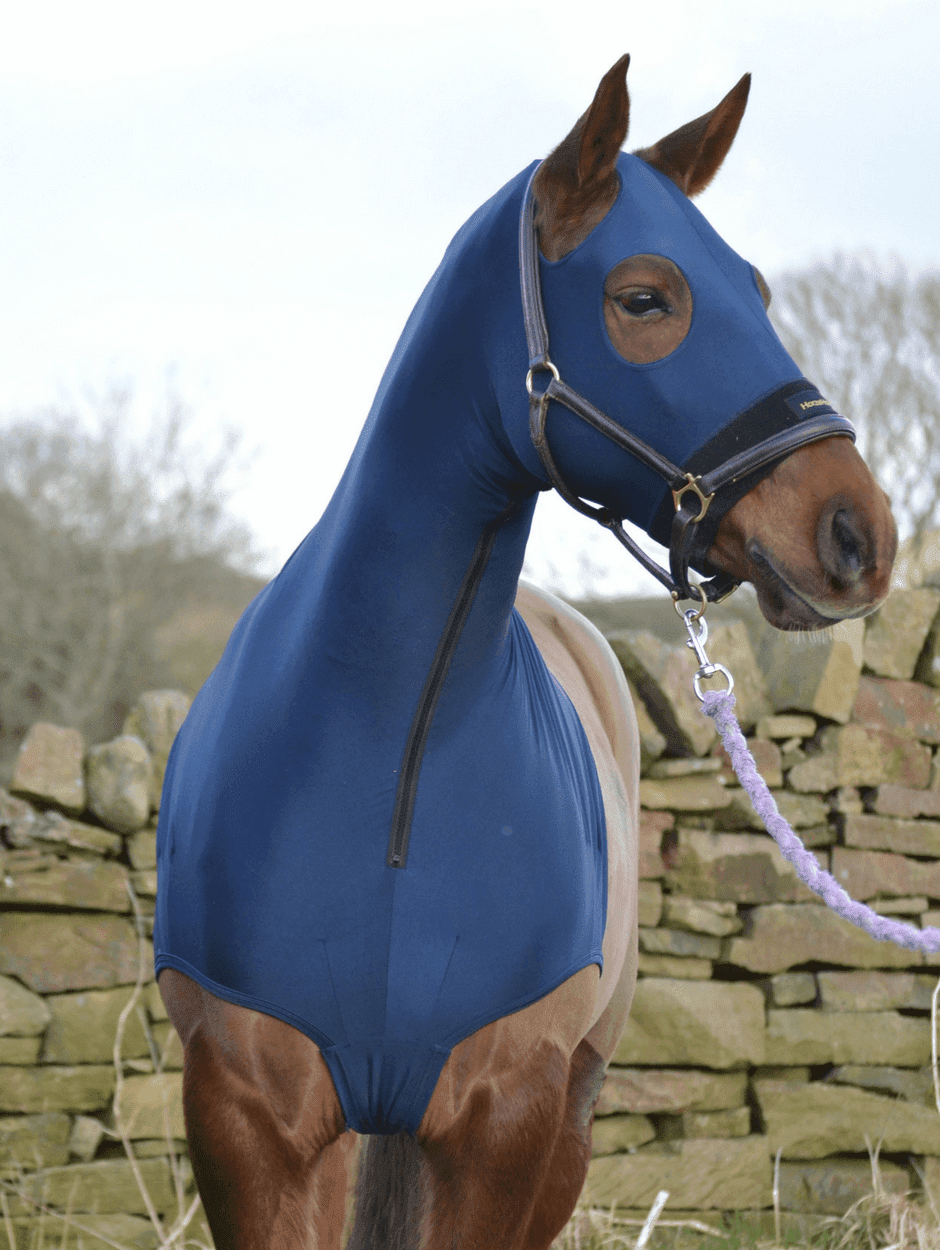 Horse wearing Navy HorzeHood with NO EARS for BIG Horses