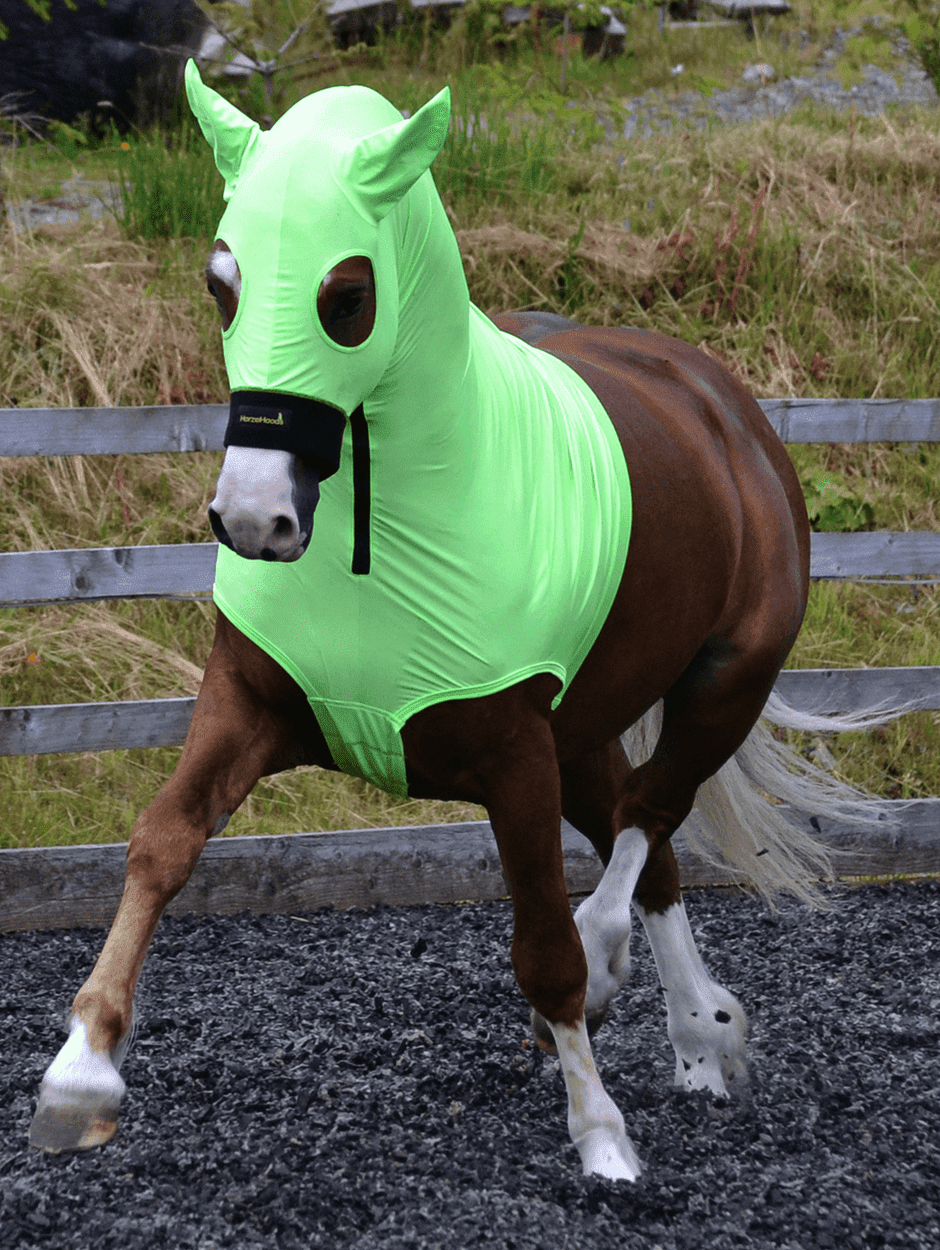 Horse wearing Green HorzeHood with NO EARS for BIG Horses