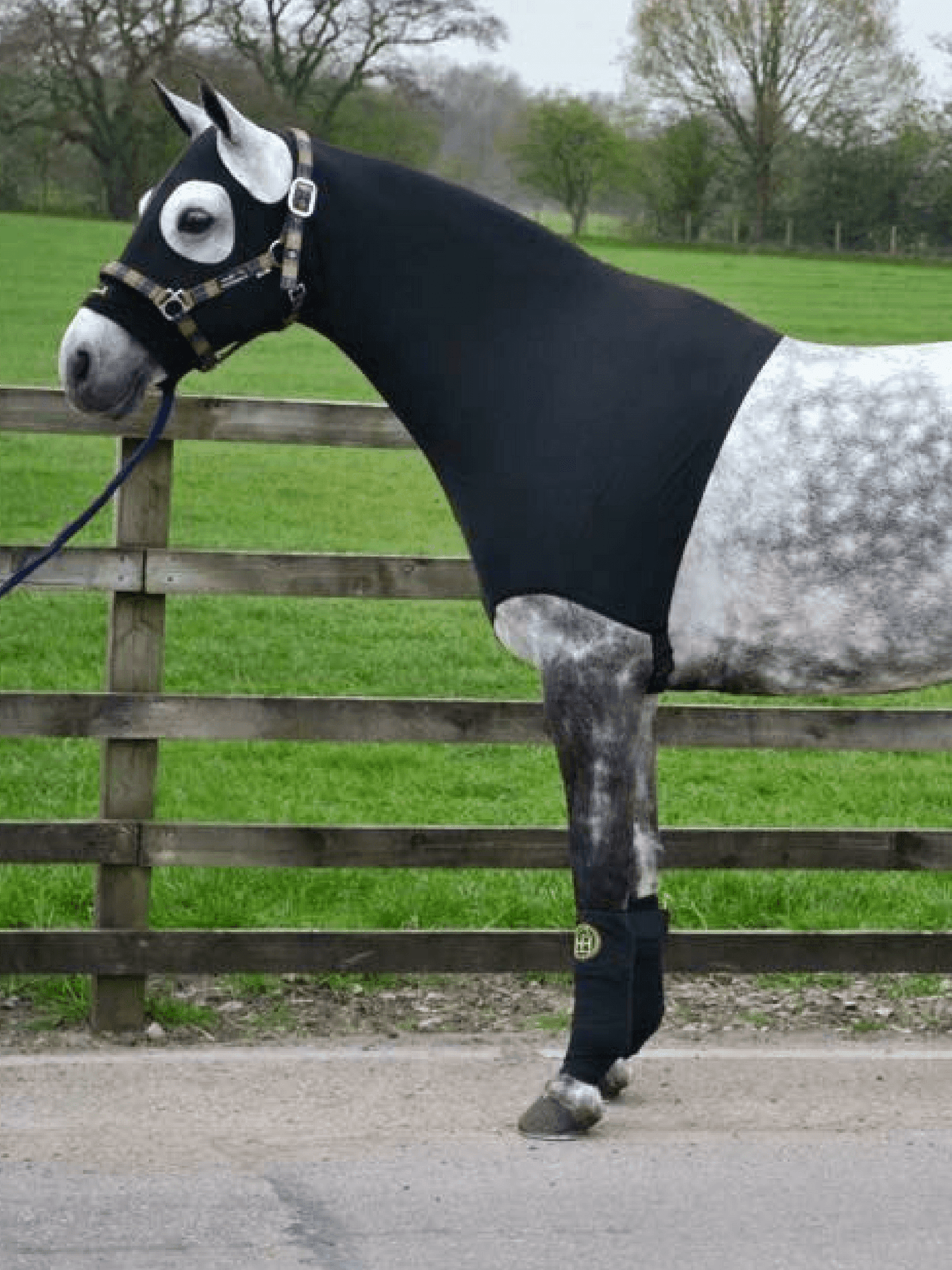 Horse wearing Black HorzeHood NO EARS