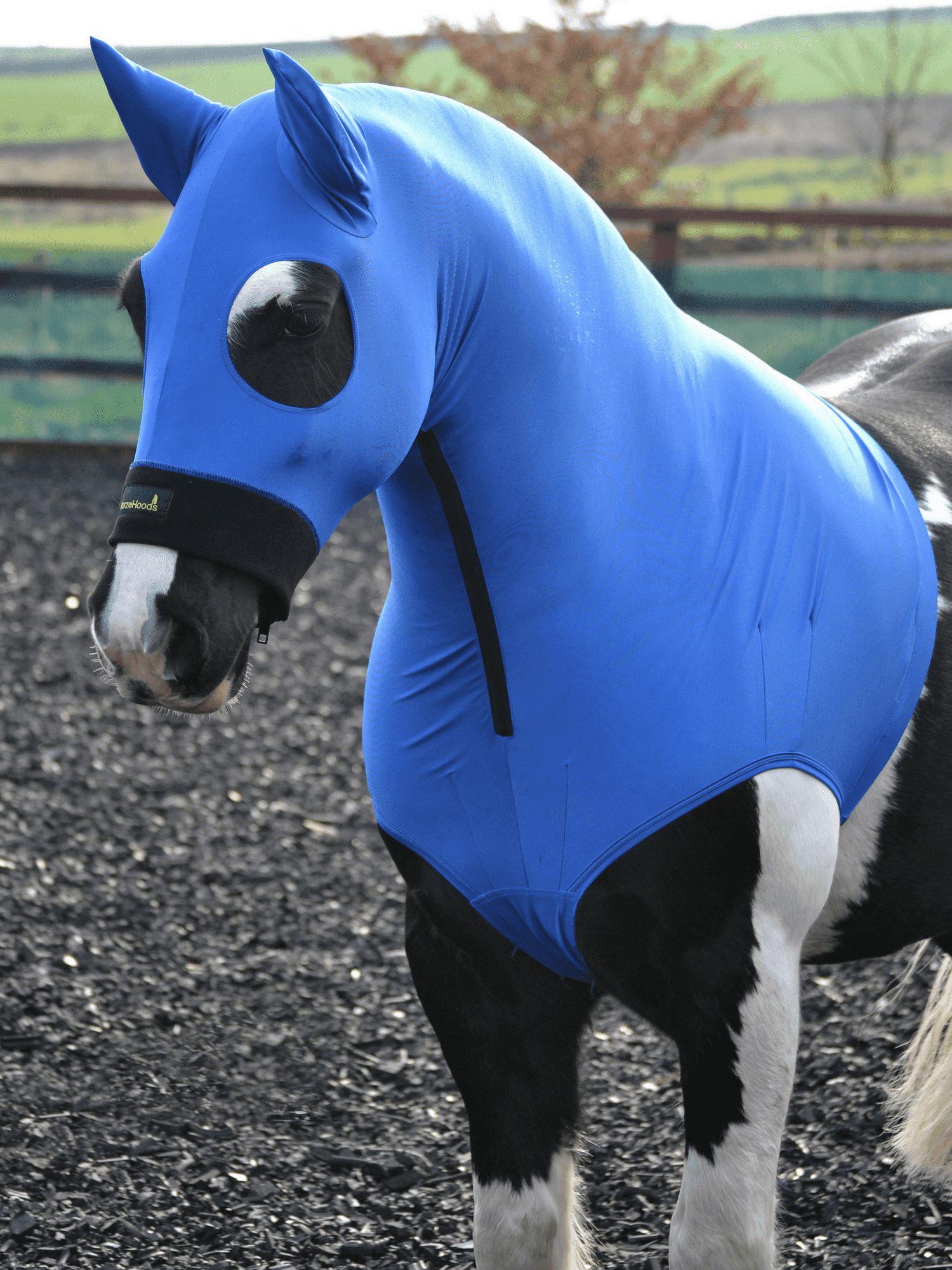 Horse wearing King Blue HorzeHood with EARS for BIG Horses