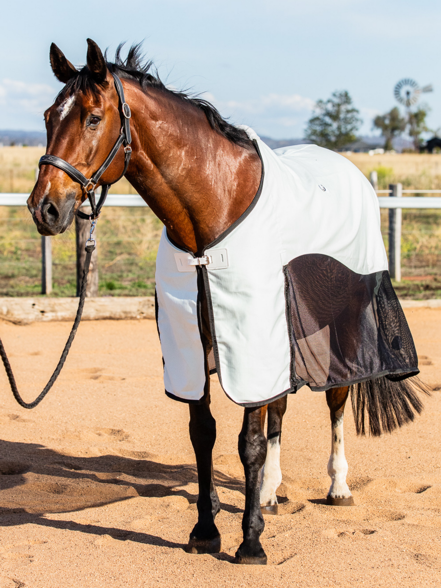 Earlwood BLACK Mesh Ripstop Rug