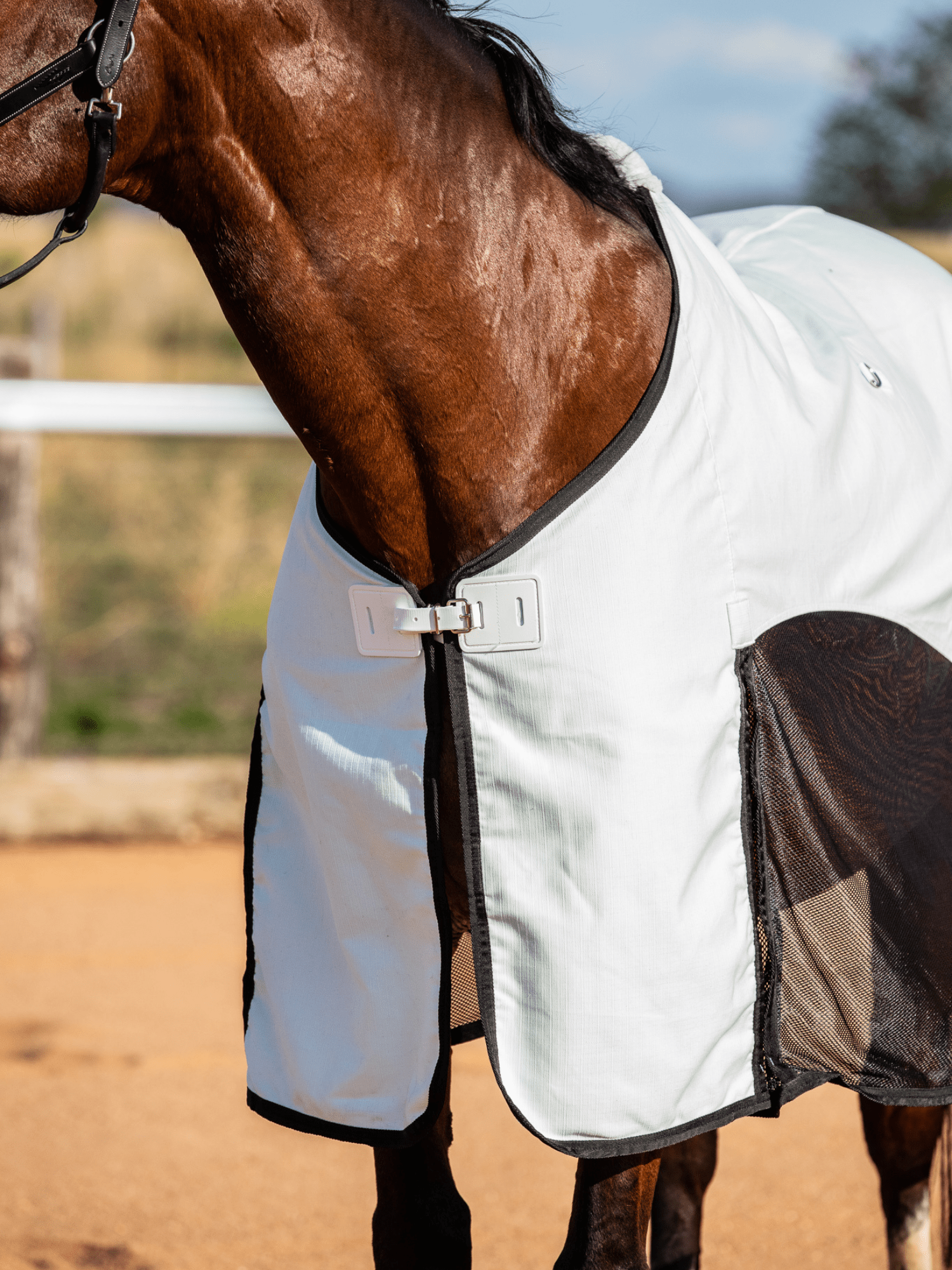 Earlwood BLACK Mesh Ripstop Rug – Earlwood Equine