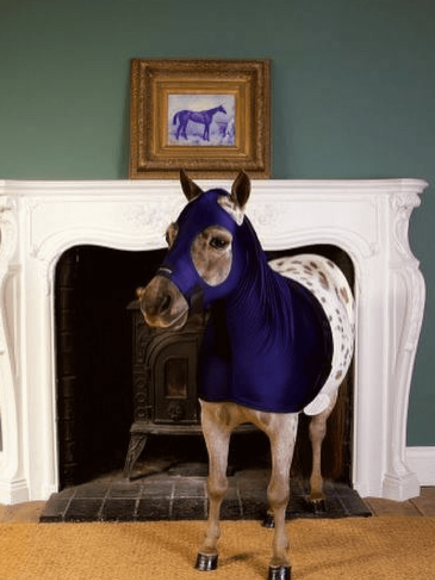 Horse wearing Navy Horzehoods MINI