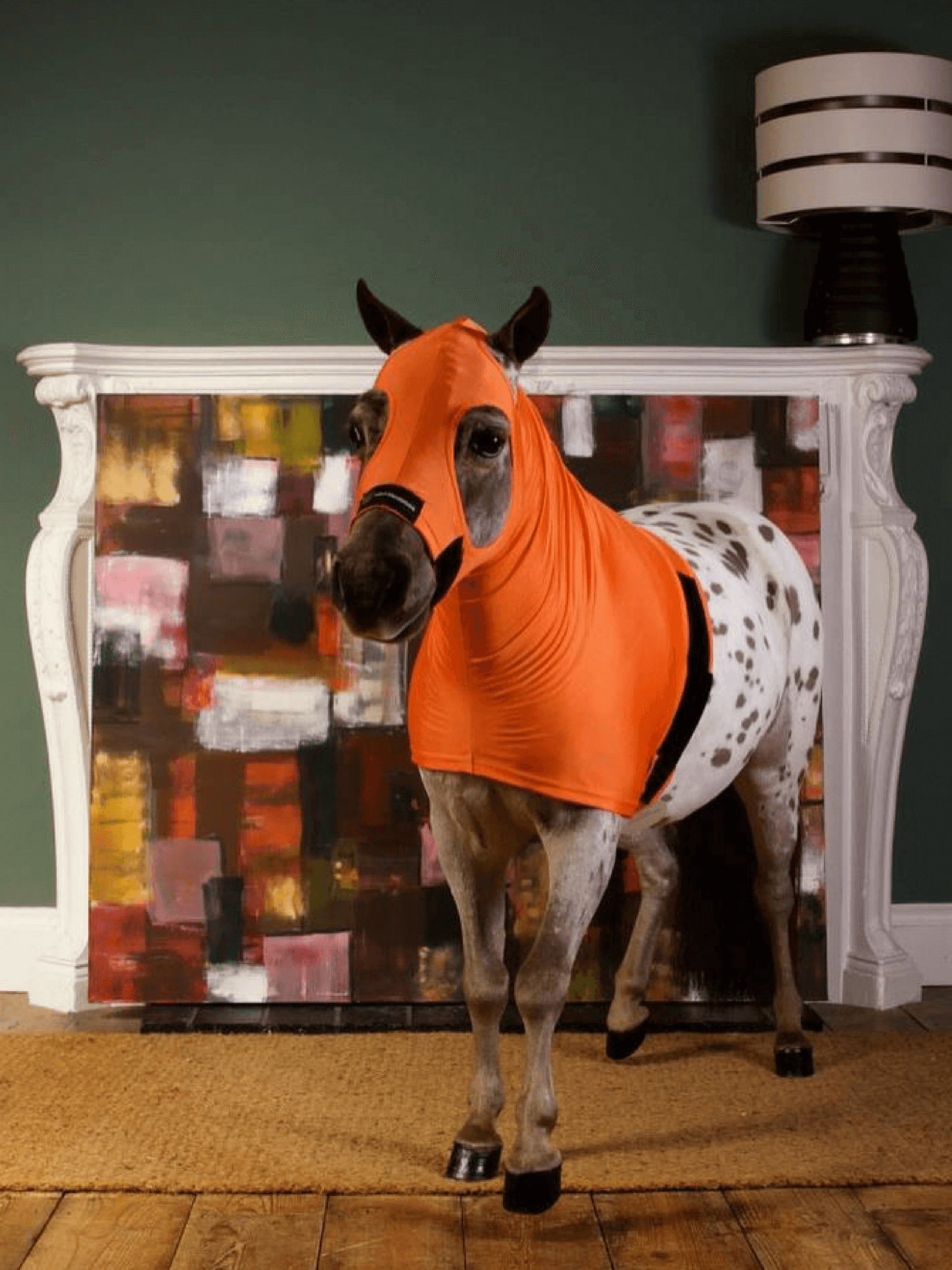 Horse wearing Orange Horzehoods MINI