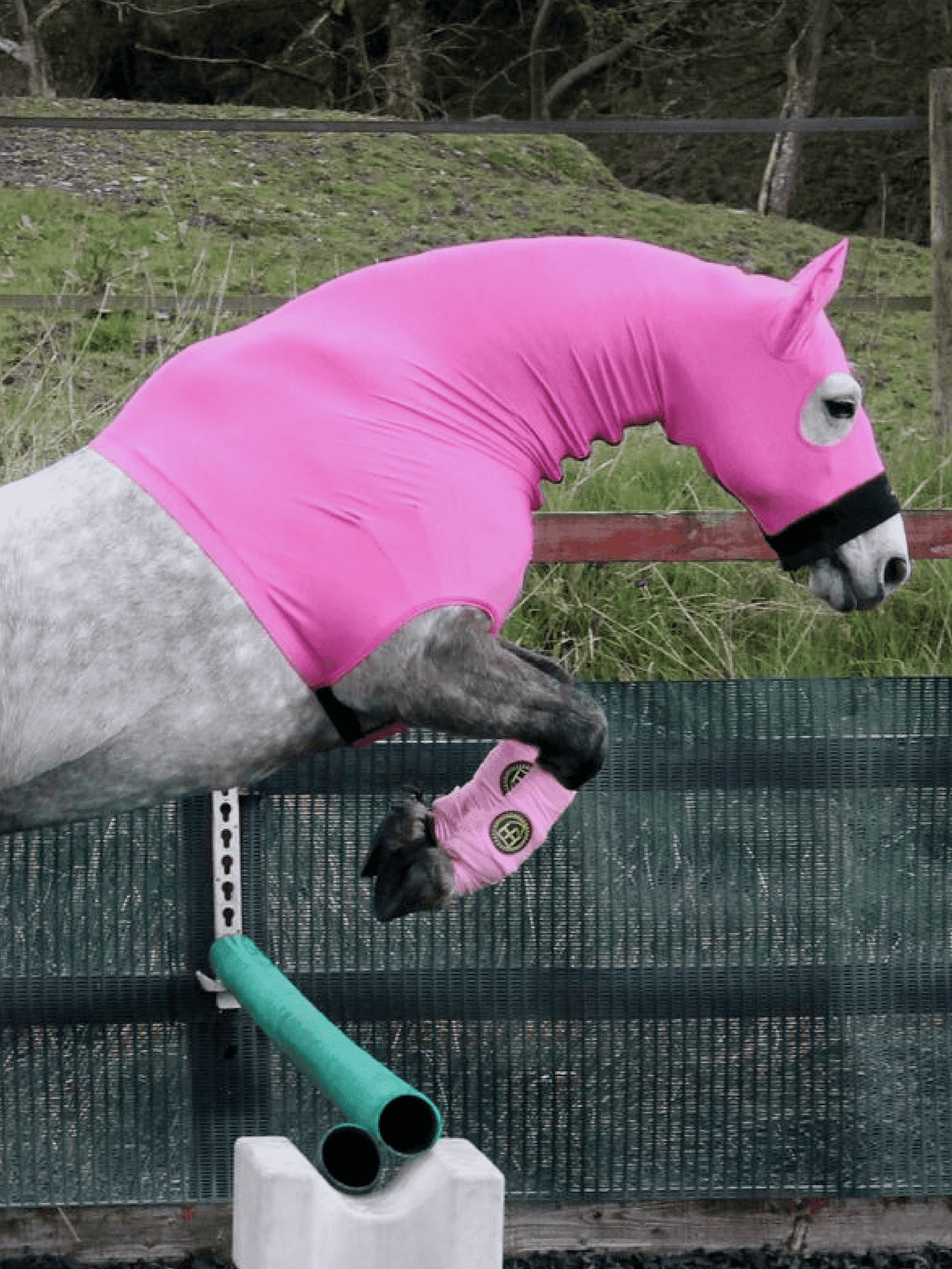 Horse wearing Hot pink HorzeHood with EARS for BIG Horses