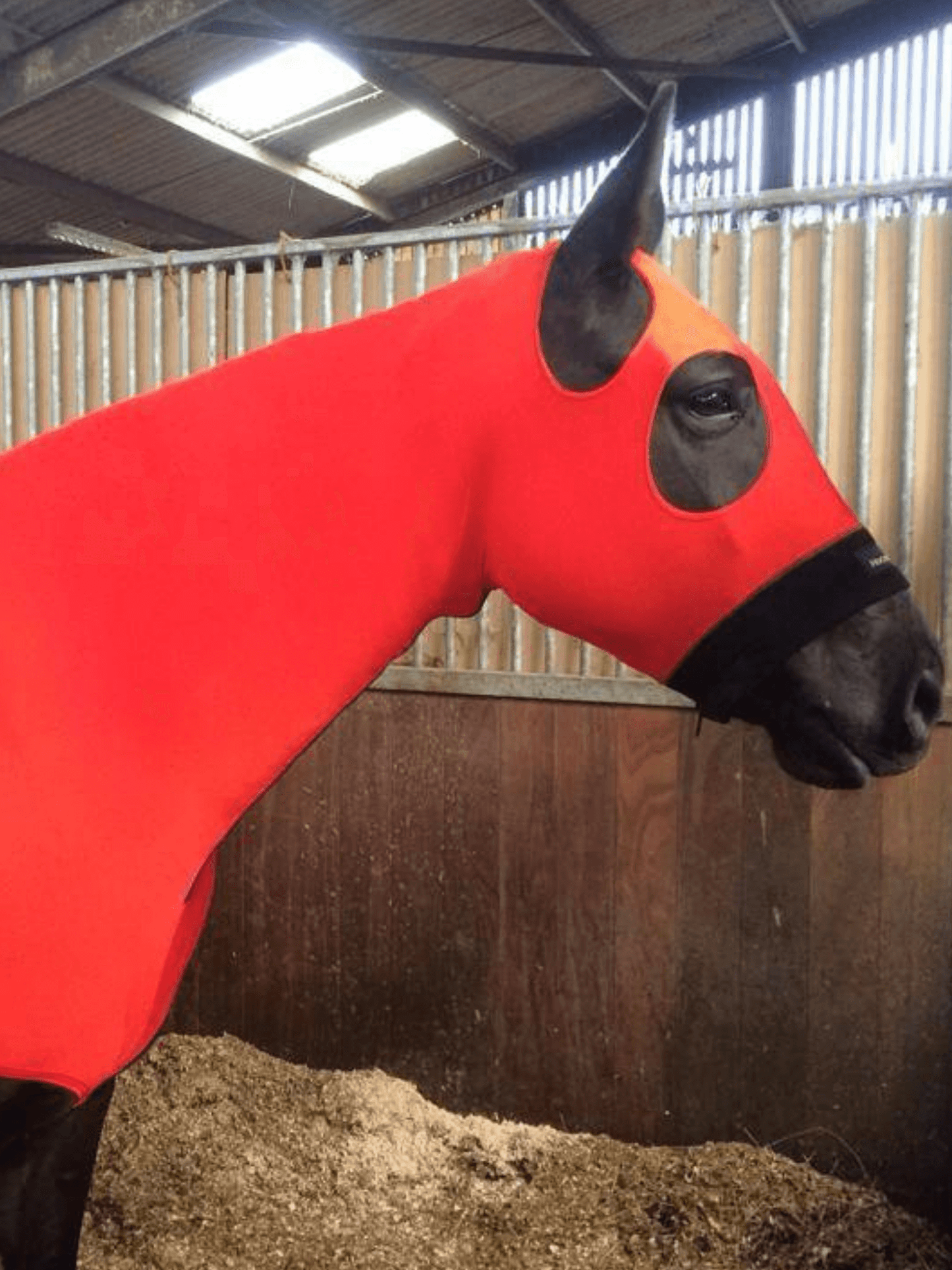 Horse wearing Red HorzeHood with NO EARS for BIG Horses