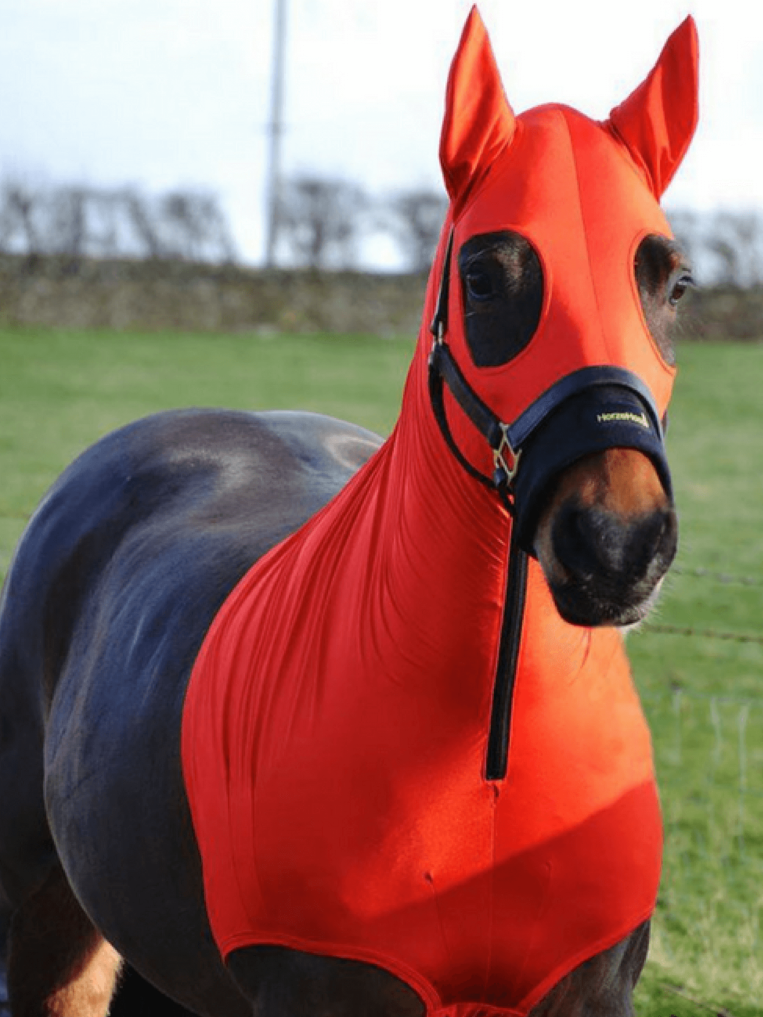 Horse wearing Red HorzeHood with EARS for BIG Horses