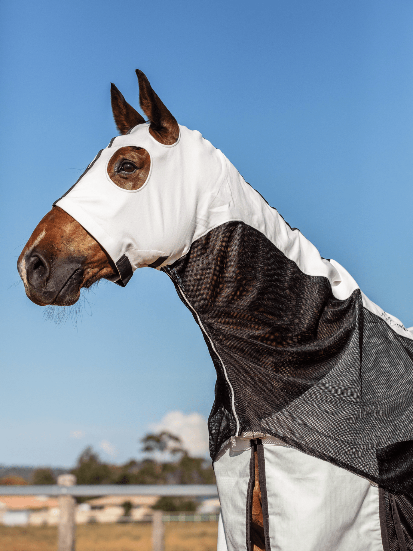 Earlwood White & Black MESH Hoods