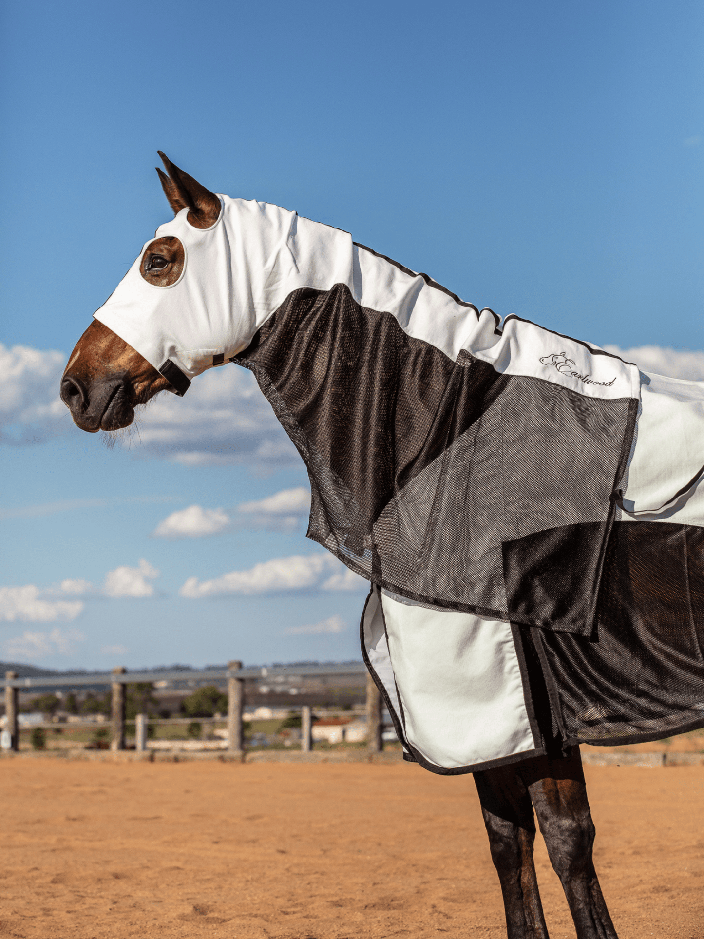 Earlwood White & Black MESH Hoods