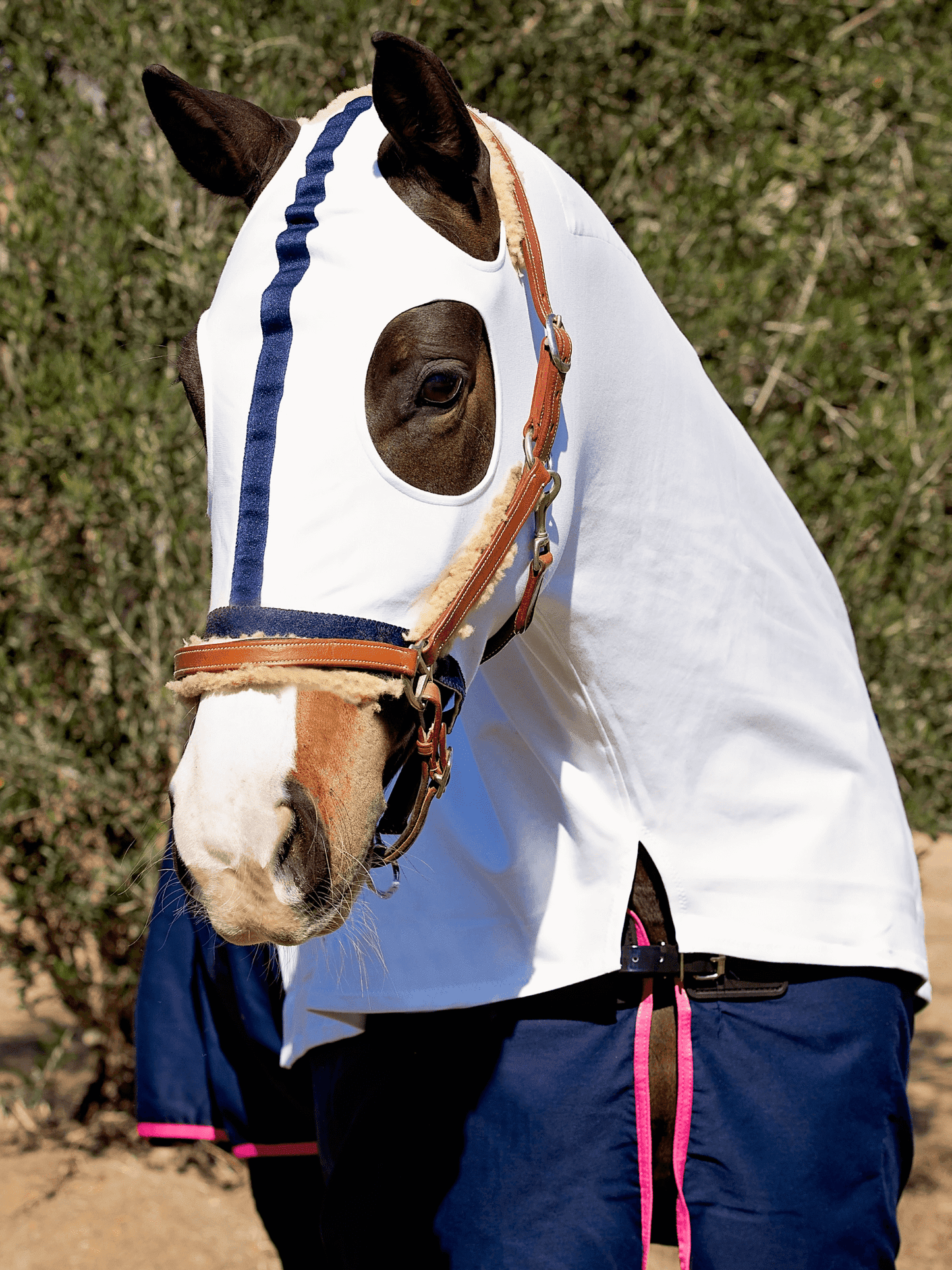 Horses in Earlwood Hood - ZIPPED UP - WHITE