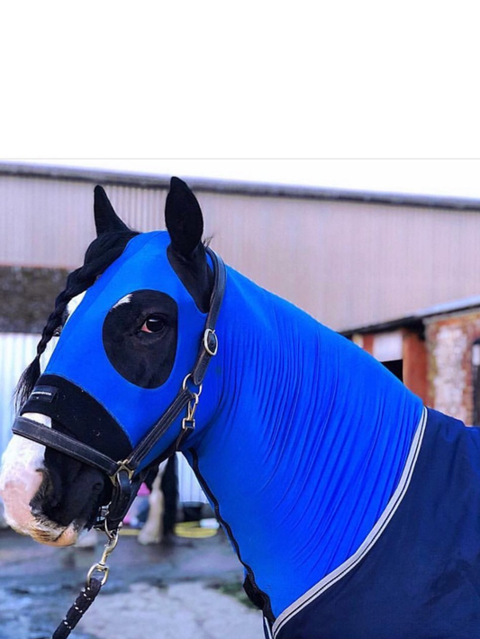 Horse wearing King Blue HorzeHood with NO EARS for BIG Horses