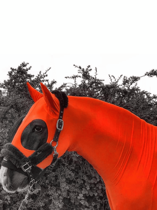 Horse wearing Red HorzeHood with EARS for BIG Horses